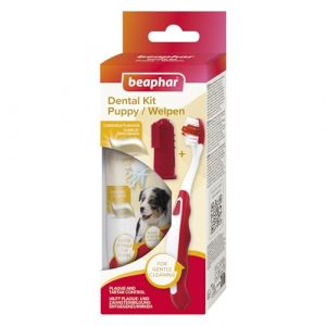 Beaphar Kit de Soins dentaires pour Chiots - Saveur Foie - Brosse &agrave; Dents, Brosse &agrave; Dents Doigt et Dentifrice - Lot de 2 brosses &agrave; Dents + 50 g de Dentifrice