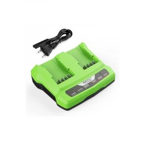 Chargeur de Batterie 24V pour Machine Outil Greenworks 24V Adaptateur Compatible avec Toutes Les Batteries Greenworks 24 V 2A