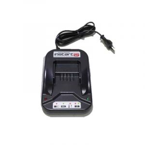 Briggs & stratton Chargeur batterie Briggs et Stratton Instart, 593562 0047282050767