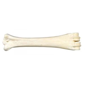 Bubimex OS calcium GM