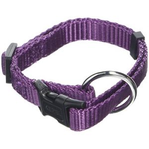 Image de Kerbl Collier nylon pour Chien Miami - Collier Chien Solide - Couleurs: Violet - Combinaison Largeur et Taille: Largeur - 15 mm, Taille - 30 - 45 cm