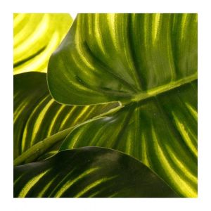 Atmosphera Plante verte H45