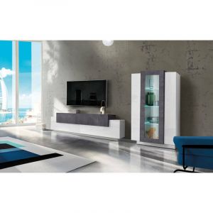 Dmora Élément mural de salon modulable, Made in Italy, avec lumière LED blanche, meuble TV et vitrine, Ensemble de salon moderne, 290x45h121 cm,