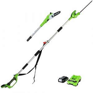 Greenworks G24PSHK2 Élagueuse et 51 cm Taille Haie à Batterie sur Perche 2 en 1 avec Bandoulière, Tronçonneuse 20 cm, Lames Double Action, Batterie 24V 2Ah et Chargeur, Garantie 3 Ans