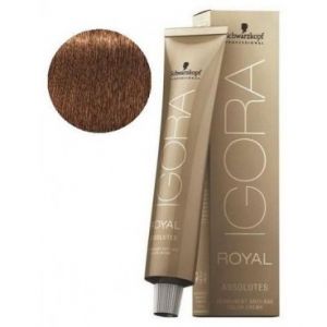 Schwarzkopf Igora Royal Absolute 7-60 Coloration 60ml