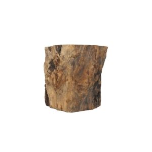 Reptiles Planet Accessoire pour aquarium Treehouse XL