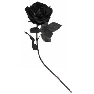 Image de Ruedelafete Rose Halloween LUXE en tissu sur tige, Noire