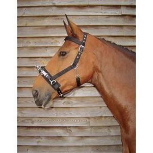 Harry's Horse Caveçons pour cheval