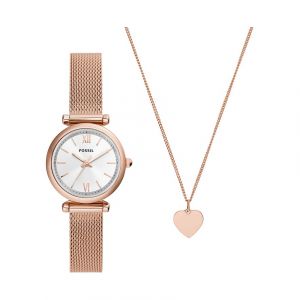 Fossil Set demontres Acier inoxydable Bijoux 1 unité