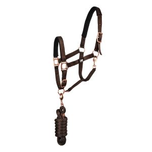 Supreme Ensemble licol et longe pour cheval
