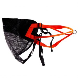 Martin Sellier Baudrier pour chien
