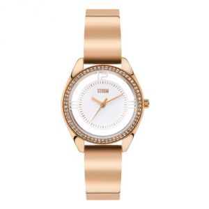 Image de Storm 47256 - Montre pour femme avec bracelet en acier
