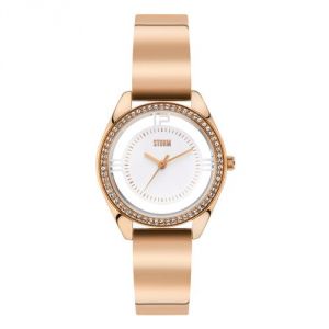 Image de Storm 47256 - Montre pour femme avec bracelet en acier