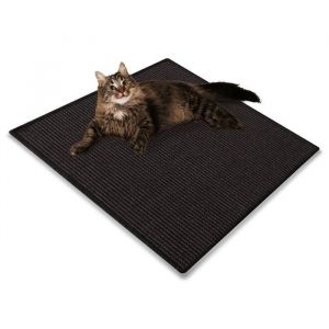 Floordirekt - Tapis &agrave; griffer pour Chat Sisal Pour chats 60 x 80 cm Noir