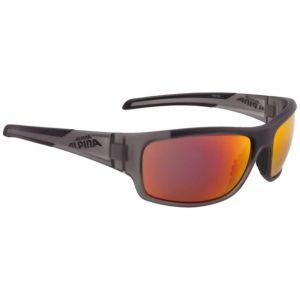 Image de Alpina Testido Lunettes, anthracite matt-black Lunettes de soleil