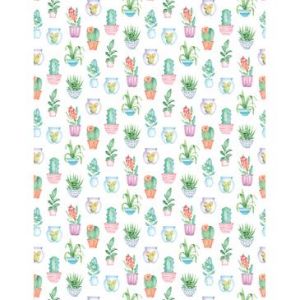 Image de Clairefontaine 456698C - Etui de 25 feuilles Decorativ' Cactus n° 4, 160 g/m², A4, imprimés recto/verso