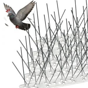 Pic Anti-Pigeon en Acier Inoxydable 7.5M Pack de 30 modules
