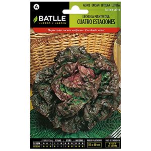 Batlle Laitue 4 Stations