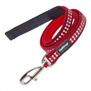 Laisse pour Chien Réfléchissant 1 5 120 cm Rouge