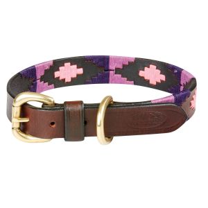 Weatherbeeta Collier pour chien en cuir Polo
