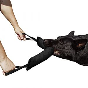 Dingo Gear K9 IGP & Fun Jouet à Tirer en Nylon pour Dressage de Chien Noir 45 x 8 cm