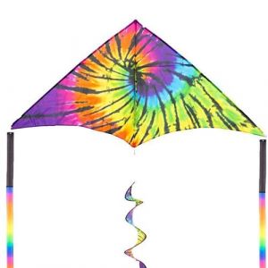 HQ Kites Cerf-volant Delta Rider