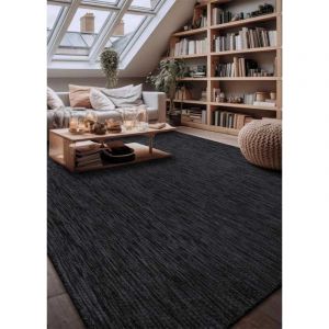 Tapis extérieur intérieur uni - caracas 65