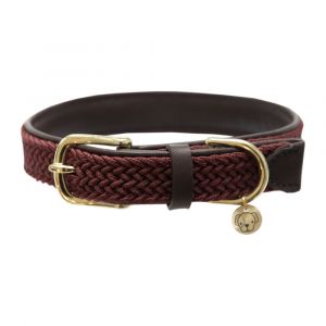 Image de Collier pour chien en nylon tress&eacute; Kentucky