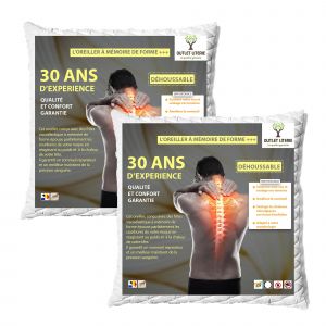 Image de Outletliterie - Lot de 2 Oreillers M&eacute;moire de forme + taie &agrave; zip 60x60cm
