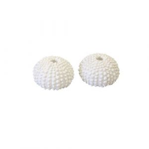 2 COQUILLES OURSIN DÉCO RÉSINE 2 5X4CM BLANC Blanc