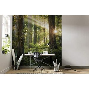 Komar Papier peint intissé Goblins Woods