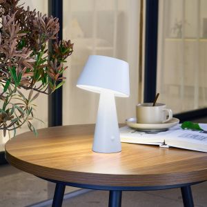 Led Lampe Solaire à intensité variable 'Lirinor' - blanc
