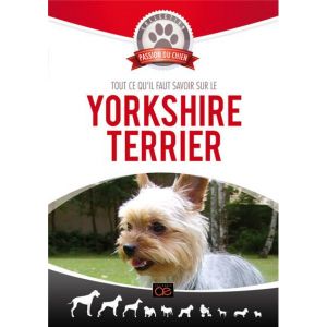 Tout ce qu'il faut savoir sur le Yorkshire terrier