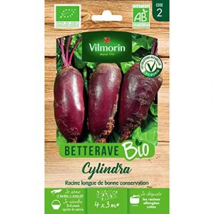 Vilmorin Sachet graines Betterave Cylindra BIO