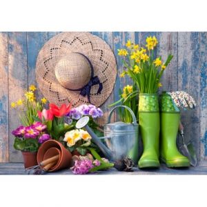 Bluebird Puzzle Ready for the Garden