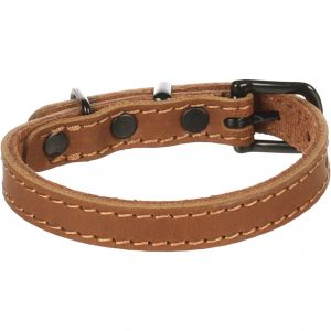 Flamingo Collier pour chien Montana