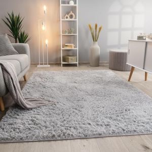 Paco Home - Tapis De Salon Poils Longs Fausse Fourrure Shaggy Moelleux Monochrome Argent, 200 cm rond