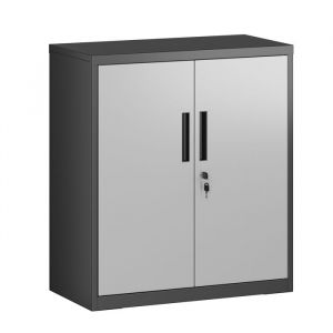 Songmics Armoire de classement avec 2 portes verrouillable argenté/noir