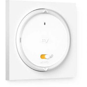 Image de Somfy Amy 1 RS100 io cadre - t&eacute;l&eacute;commande