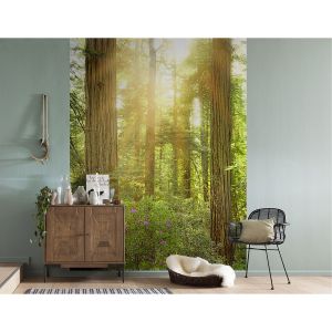 Komar Papier peint intissé Redwood