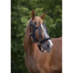 Norton clipper Frontal pour cheval Chasse-mouches