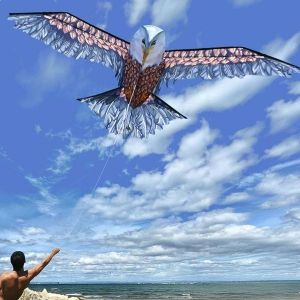 Cerf-volant r&eacute;aliste 3D Aigle Majestueux