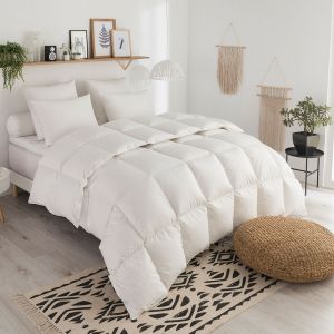 Dodo Couette duvet Tradition TEMPEREE - 70% Duvet d'Oie 240/260 Blanc