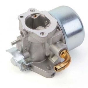 Carburateur pour moteur Briggs & Stratton 798653
