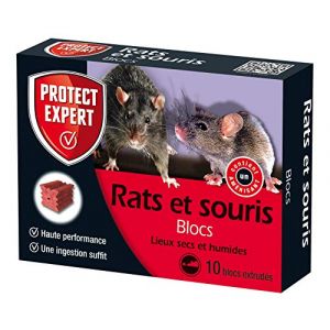 PROTECT EXPERT FB300 Rats & Souris | 10 Blocs extrudes pour lieux secs et h ides, 300 GR