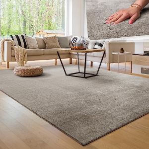 Tapis de Salon Unicolore Lavable Pile Courte et Douce, Dimension:160 cm Rond, Couleur:Gris