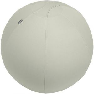 Leitz Ballon d'assise Ergo Active, fonction anti-basculement, alternative ergonomique à la chaise de bureau, diamètre 75 cm, housse en tissu, pompe à air manuelle, 2 bouchons, Gris Clair, 65430085