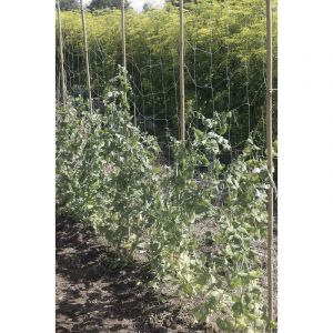 Nortene Filet à ramer Trellinet Bio en bio compostable - 1,85 x 10 m - Vert