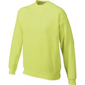 Image de Promodoro Sweat 80-20 Hommes, M, vert lime sauvage