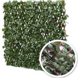 Atout Loisir Treillis Extensible Feuilles de Lierre, Long 28 m, Hauteur 1 m